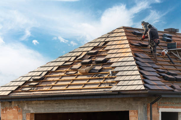 Fast & Reliable Emergency Roof Repairs in Alamo, TX